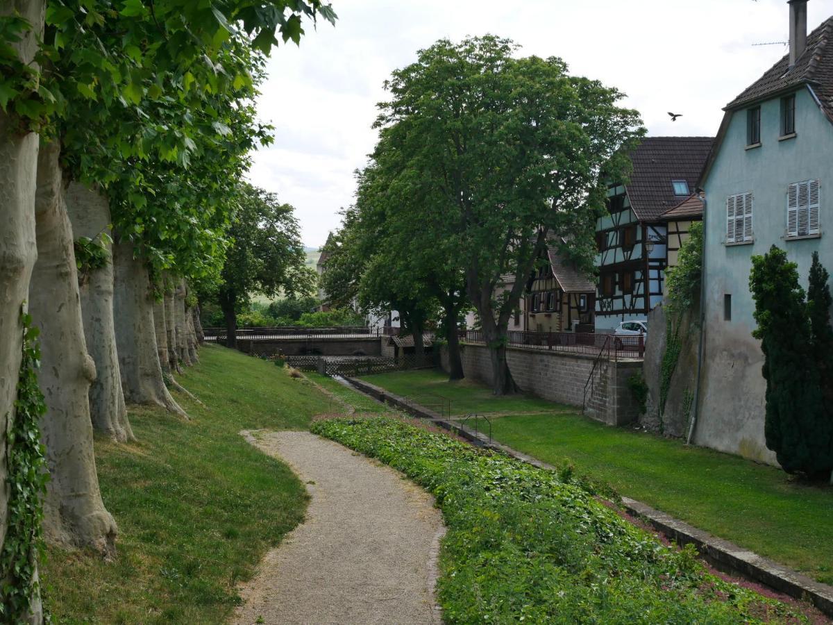 سانت هيبوليت La Cour St-Fulrad - Les Suites المظهر الخارجي الصورة